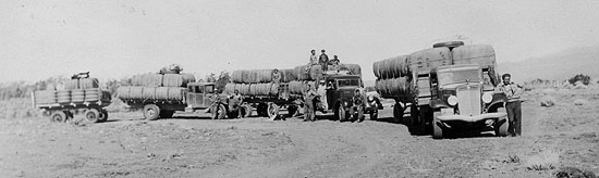 wool convoy