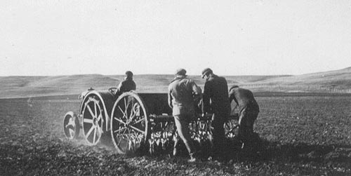 sowing oats