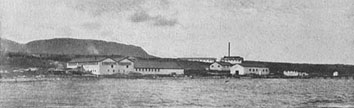 sawmill and canning plant