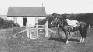 shepherd's cottage