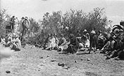 summer picnic