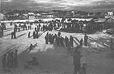 skating pond