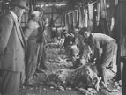 shearers