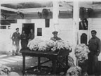 grading wool