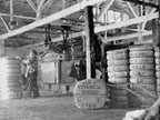 wool bales