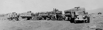 wool convoy