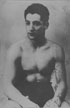 boxer