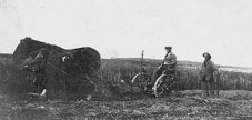 crop farmer
