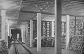 deep freezer