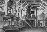 meat extract section
