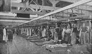 slaughter house