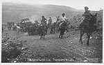carting wool
